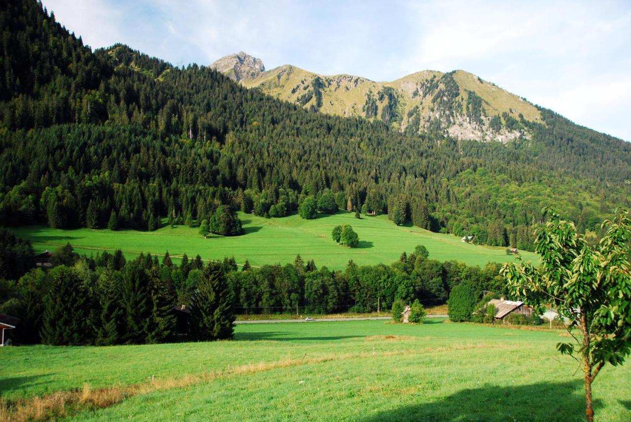 Chalet Cannelle Chatel Exterior photo