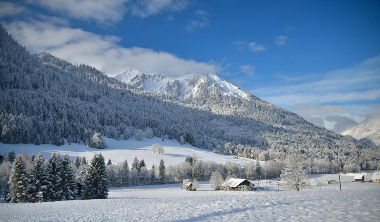 Chalet Cannelle Chatel Exterior photo