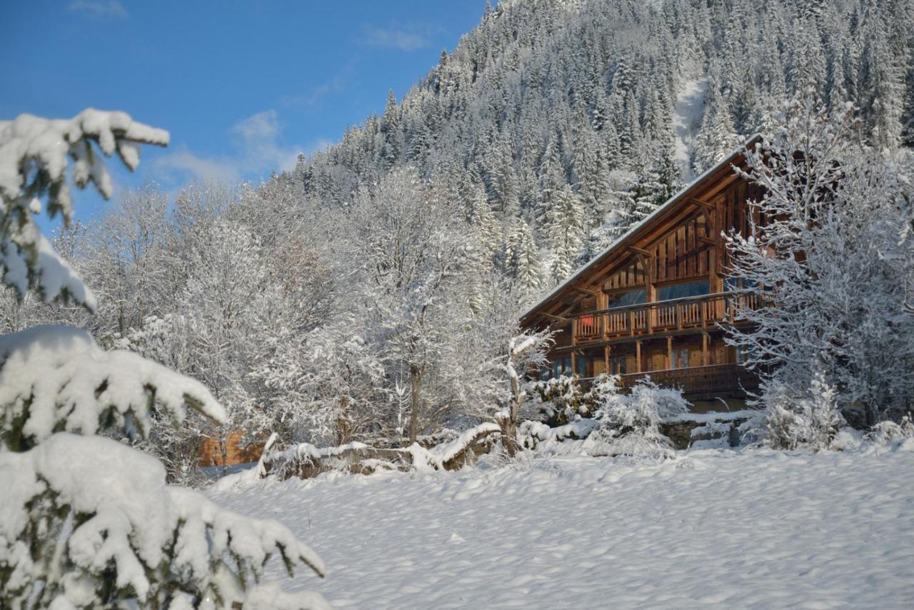 Chalet Cannelle Chatel Exterior photo